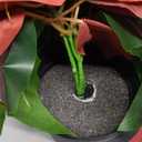 Mini Poinsettias Artificial Plants 2 Pack 9" Faux Small Christmas Flowers in Pot for Home Office Tabletop Indoor Christmas Decorations Red with White Spot