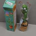 Valentine Gifts for Kids Baby Toys 0-6 3-6 6-12 12-18 Months Dancing Talking Cactus, Toddler Boys Girls Gifts for 2 3 4 5 6 7 8 9 10 Month Old Baby Toys for 1 Year Old Boy Girl