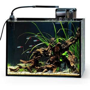 NICREW 2.5 Gallon Nano Nature Aquarium Kit, Ultra-Clear Rimless Desktop Fish Tank with Light and Filter, Perfect for Small Fish, Shrimp, or Betta, Basic Version, Black