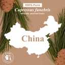 Handcraft Blends Cedarwood Essential Oil  Huge 4 Fl Oz  100% Pure and Natural  Premium Grade Essential Oil for Diffuser and Aromatherapy, Skin, Massage, Candle and Soap Making Fragrance