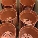 Yaomiao 200 Pcs 3 Inch Red Mini Plastic Plant Pot Nursery Seedling Pots Seed Starter with Drainage Holes for Indoor Outdoor Garden Succulent Plants Cuttings Transplanting