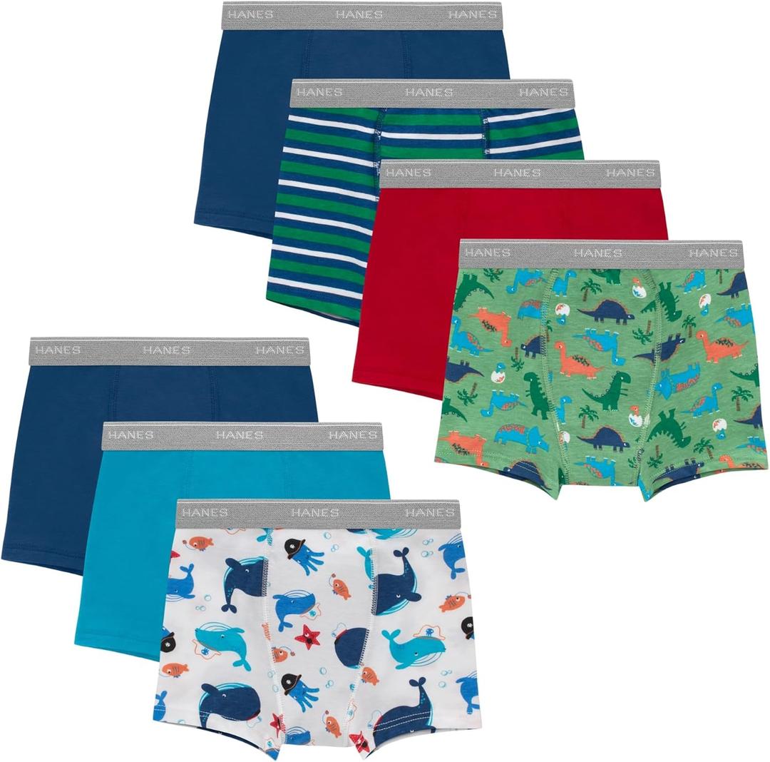 Hanes Boys' Potty Training Underwear, Light Leaks Toddler Cotton Briefs and Boxer Briefs, Multi-pack (2-3T)