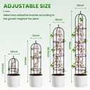 Garden Obelisk Trellis for Climbing Plants - 76" Tall Weather-Resistant Rustproof Metal Plant Flower Support for Roses, Clematis, Tomatoes & Vines, Indoor/Outdoor Use, 12D (2 Pack)