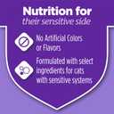 Purina Cat Chow Gentle Sensitive Stomach and Skin Dry Cat Food with Turkey - (Pack of 4) 3.15 lb. Bags