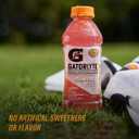 Gatorlyte Rapid Rehydration Electrolyte Drink, 3 Flavor Variety Pack, Specialized Blend of 5 Electrolytes, Lower Sugar, No Artificial Sweeteners, No Artificial Flavors, 20 fl oz Bottles (12 Pack) BB Date: 06/25/2026