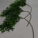 3PCS Artificial Nandina Stems for Vase, Faux Green Spring Plant Branches, Fake Floral Eucalyptus Stems, Realistic Greenery, Dcor for Office, Dining or Coffee Table, Kitchen, Living Room Floor, 43.3"