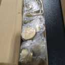 Holder 16 Pack 16in, Gold 