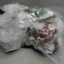 JOYIN 72" Halloween Hanging Cocoon Corpse Animated, Lighted Dead Body Prop for Indoor Decor, Life Size Skeleton Corpse Props for Haunted House, Scary Outdoor Hanging Decorations