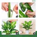 Der Rose JC nateva 16" Small Fake Plants Artificial Tropical Faux Plants Indoor for Office Desk Shelf Bathroom Home Decor