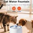 WOPET Premium Ceramic Cat Water Fountain W03 Lite3L/101oz Automatic Pet Water Fountain for Cats & Dogs, Dishwasher SafeLuxury Cat Fountain with Ultra-Quiet Pump and Filter & Sponge