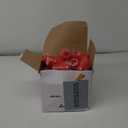 Jenaai 50 Pcs Mini Air Horn 3 Inch Noisemakers for Sporting Events Fun Stadium Loud Noise Maker Blow Horn Noise Whistle with Lanyard for Birthday Party Celebrations Goodie Bag(Red)