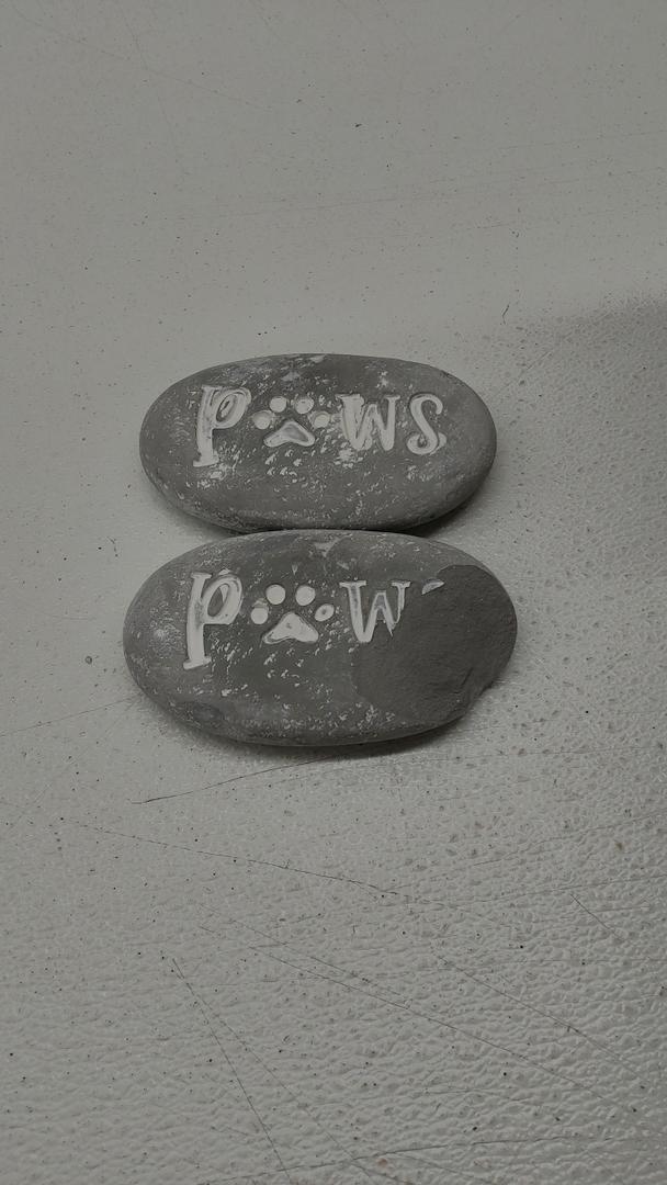Paws Stones (2 count) Paws Stones (2 count)