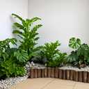 Wood Garden Edging for Landscaping  Decorative Round Log Border for Flower Beds, Pathways, and Lawn Edging, Natural Solid Pine with Durable Twine Connection (5.9" H x 35" L, 2 Pack)