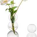 Glass Bubble Vases for Flowers, Hewory 2pcs Clear Unique Cute Single Flower Vase for Centerpieces, Funky Aesthetic Vase Skinny Bud Vase, Cool Groovy Decor for Home Living Room Bedroom Office Tabletop