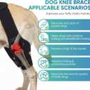 Dog Knee Brace for Back Leg Hind Leg ACL Dog Brace Support Adjustable Double Dog Leg Brace with Stabilizers, Helps with Torn CCL, Luxating Patella, Ligament Injuries,L