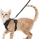 Rabbitgoo Cat Harness and Leash Set, Escape Proof Vest, Black Soft Breathable Mesh, Easy Adjustable Fit, Snap Buckles, Sturdy Clip, Reflective Strips, for Small & Average Cats Walks, XS