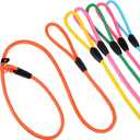 6 Piece Set Premium No - Pull Slip Lead Dog Leashes - 5FT Heavy - Duty Rope for Small & Medium Dogs in a Vibrant 6 - Color Collection