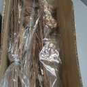 Deco 79 Dried Plant Foliage Home Decor Natural Foliage Natural Dried Foliage, set of 2 Foliage for Decoration 15" x 15" x 46", Brown