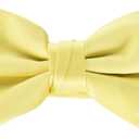 STACY ADAMS mens Satin Solid Bow TieBow Tie (One Size, Banana)