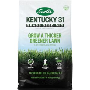 Scotts Kentucky 31 Grass Seed Mix for New Lawns or Overseeding, Grows Thicker and Greener vs. Other Kentucky 31 Mixes, Covers up to 10,000 sq. ft. (40 lb)