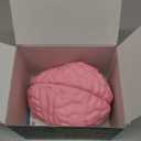 Cross Section Foam Brain Model | Free Stand, Answer Sheet & Digital Worksheet | Educational Tool Learning & Teaching Human Anatomical Function, Psychology, Biology or Science | 2 Labeled Half Pieces