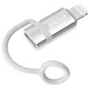 [MFi Certified] USB C to Lightning Adapter, Type C to Lightning Adapter Support 36W PD Fast Charging Compatible with iPhone iPad Silver