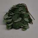 Beferr 6Pcs Artificial Eucalyptus Stems Greenery Stems 24" Tall Fake Plants Decor Faux Floral Stems for Vase Home Party Wedding Decorations