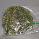 Jspupifip Bearded Dragon Bed, Large Reptile Hammock for Lizard Cage, Gecko & Chameleon Accessories (Green)