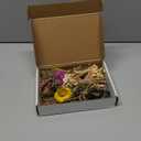 10 Pcs Dried Flowers for Crafts, Mini Dried Flowers Bouquet Bulk for Vase DIY Photo Bridesmaid Gift Birthday Decor