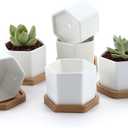 T4U Small White Succulent Planter Pots with Bamboo Tray Hexagon Set of 6, Geometric Ceramic Cactus Plant Holder, Gifts for Plant Lover Gardener Women, Home Office Table Desk Decoration