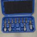 Hex Bit Socket Set Premium S2 Alloy Steel | 13-Piece Metric 2mm - 14mm Allen Socket Kit