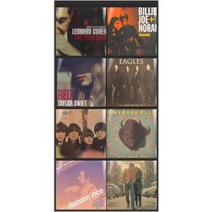 ALSLEA Vinyl Record Display Rack - 8 Pocket Clear Window Organizer for 12" LP Covers, Oxford Fabric with Black Border, Professional Wall Mount
