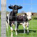 Livestock Fence 4Ft x 328Ft,Farm/Goat Fence,Heavy Zinc Coating Cattle Fencing Deer Fencing, for for Yard Garden and Field Mountain Forest, Farm Animal Protection