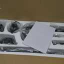 52" Outdoor Ceiling Fan with Lights,Plug in Hanging,IP65 (Black) | APP & Remote Control,6 Speeds,Reversible DC Motor,3000-6000K Dimmable LED,Perfect for Covered Patios,Gazebos,Pergola,Porches