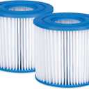 Type D Filter Cartridge 2-Pack, for Above Ground Pool Filter Pumps