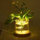 PATIKIL Wooden LED Light Base Stand, 2 Packs Round Wooden 4.72" Dia 3-Colored Light Dimmable Display Pedestals for Crystal Glass Art Decorations, Wood Color