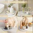 Plant Saucers for Flower Pots, 3 Pack 6 Inch Plant Pot Saucers, Round Water Catcher Drip Tray, Diatomaceous Earth, Dry Instantly, Keep Clean, Bottom Drain Plate Dish for House Plants