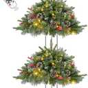 2 Pack 24 Inch Lighted Outdoor Christmas Tree with Dual Color LED Lights, Remote Control Battery Operated Pre-lit Pathway Urn Filler, Christmas Porch Decorations for Home, Porch & Yard