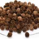168 Pcs Natural Mini Pine Cone Kit with Brown Iron Wires for DIY - 0.6"-1.2" Small Pinecones Ornaments Bulk for Crafts, Vase Filler, Wrap, Fall, Wedding, Home (Natural)
