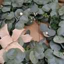28 Inch Eucalyptus Wreath with Bells & Bow for Front Door, Faux Greenery Wreath for Spring Summer All Seasons Year Round, Green Eucalyptus Decor for Home Farmhouse Indoor Outdoor Porch Wall