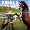 Pack Of 2 Rebel Horse Rescue (Volume 5) (Horses and Friends)