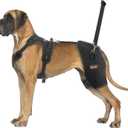 CHAMIN/RISURRY Dog Hip Brace Support for Hip Dysplasia, Arthritis, Back Leg limping, Rear Leg Brace with Back Handheld Design to Reduce Hip Pain et(Extra Extra Large)