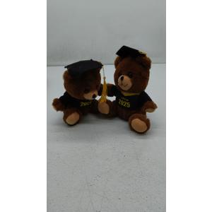 2-pk class of 2025 graduation bear with cap 10 in.