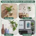 Baderke 6 Sets of Plastic Wall Planters for Indoor Plants Plant Propagation Station Hanging Planter Propagation Vases with Flower Pot Holder Ring for Artificial Wall Plants Indoor Outdoor Decor