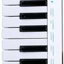 Windkey Electronic Melodica, Breath Control MIDI Keyboard Controller, Compact