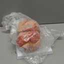 HADWYN 2025 New 4-Parts Human Female Genitalia Organ Anatomical Model, Life-Size Female Genital System Anatomical Model with Colorful Manual and Stand for Medical Science Education Study Teaching