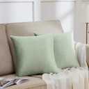 GIGIZAZA 18x18 Pillow Covers Set of 2 Velvet Throw Pillows Decorative Sage Green Covers for Couch Sofa Bedroom Pillowscase (18" x 18" (Pack of 2))