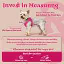 rabbitgoo Small Dog Harness, Step-in Soft Mesh Puppy Vest with Safety Buckle, Breathable Reflective Pet Harness for Small Sized Dogs, Rose Red S