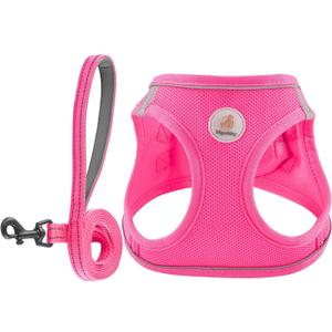 Hipubby Dog Harness and Leash Set, No Pull Soft Mesh Puppy Harness for Small Medium Dogs, Cats - Step in Reflective Breathable Lightweight Vest Harness for Walking, Training - Rose Red, XXS 