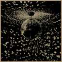 Mirror Ball, Vinyl 